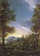 Albrecht Altdorfer View from Danube oil painting reproduction
